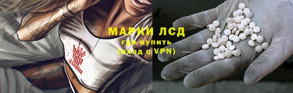 гашик Карталы