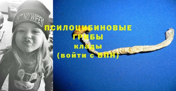 дживик Карпинск