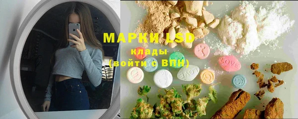 сатива Кинешма