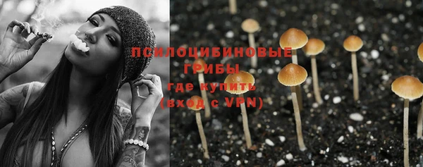 молекула духа Киренск