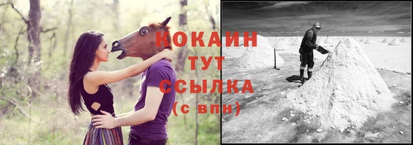 сатива Кинешма