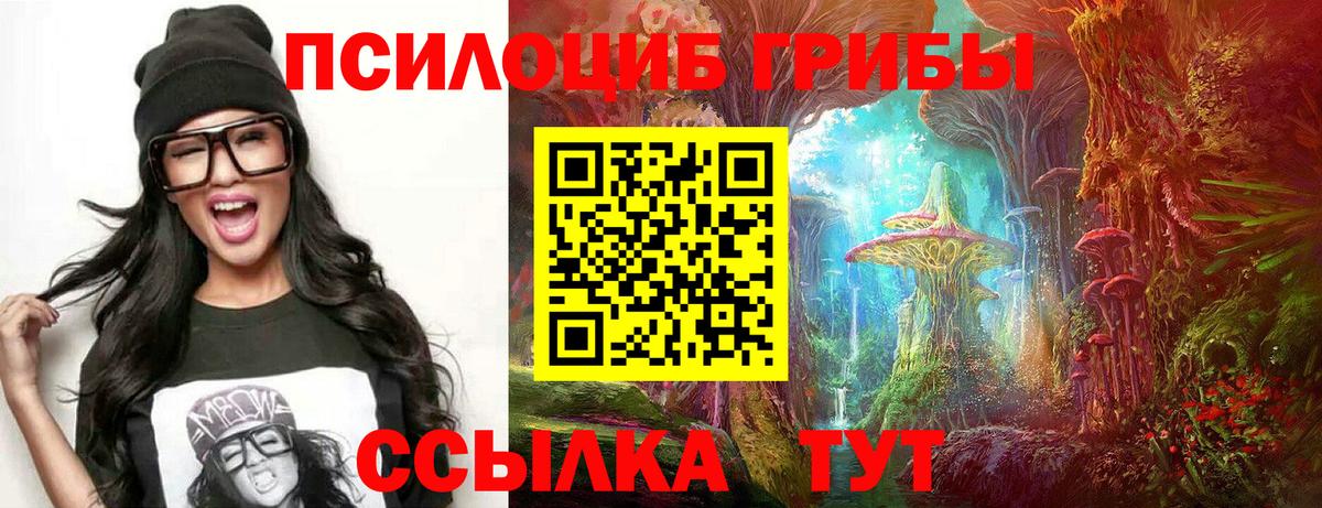 Псилоцибиновые грибы прущие грибы  Вход с VPN  Элиста 