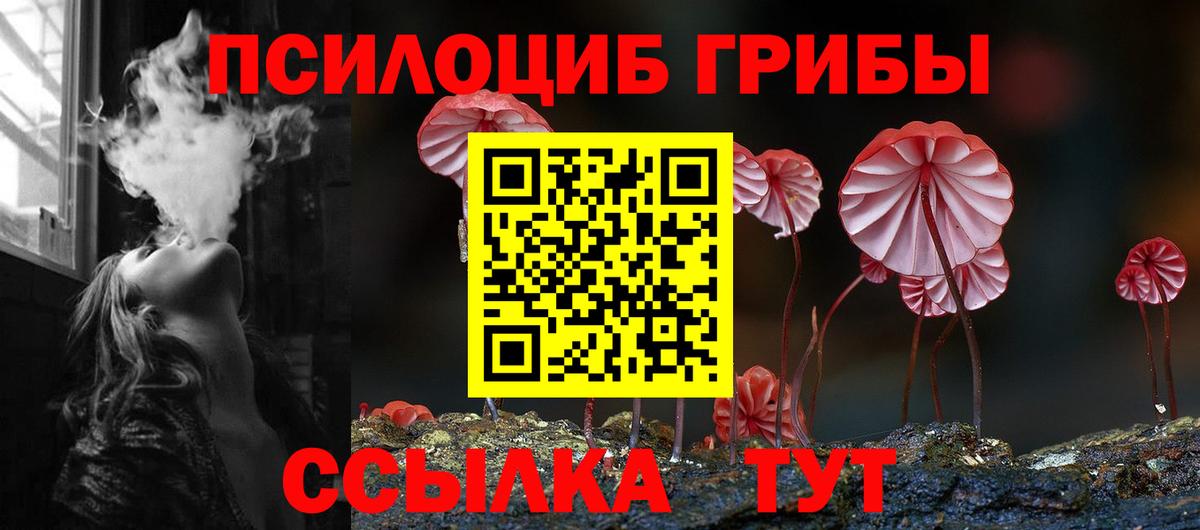 Галлюциногенные грибы Magic Shrooms Элиста